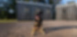DSC01456-2.jpg