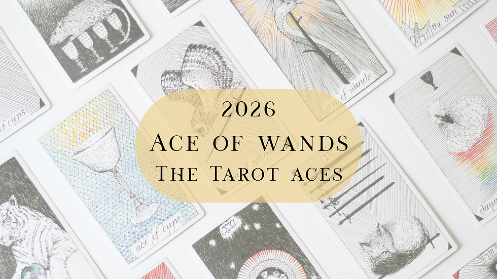 Ace of Wands The Tarot Aces
