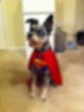 SuperPatch