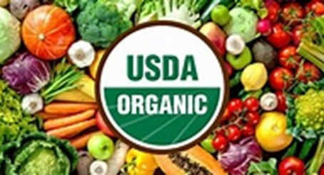 What is Organic Anyway?
