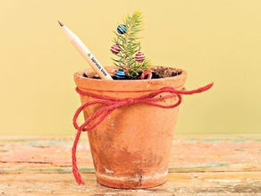 2023 - Christmas Gifts for Gardeners