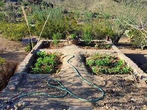 Waffle Gardening