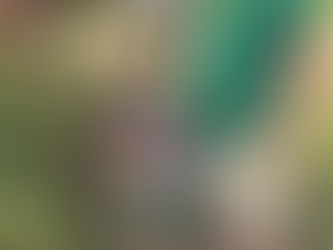 The Gardens Where We Gather