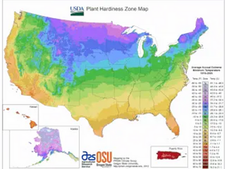 Hardiness Zone Change 