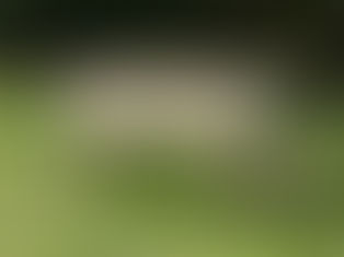 Begin Preparing Spring Beds Now