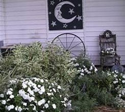 A Moon Garden