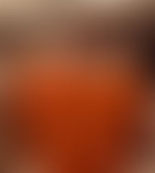 The Best Garden Gift