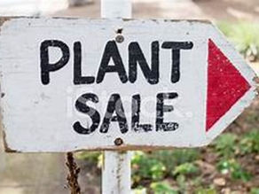 2025 Master Gardener Plant Sale