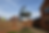 ChatGPT Image May 6, 2025 at 08_10_38 PM.png