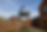 ChatGPT Image May 6, 2025 at 08_10_38 PM.png