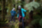 NewZeal©nationalparks-hike-2 - Copy.jpg