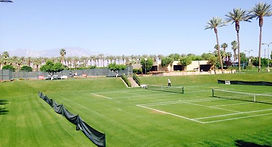 grass-tennis-court.jpg
