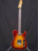 Gatto Custom Tele/Paul
