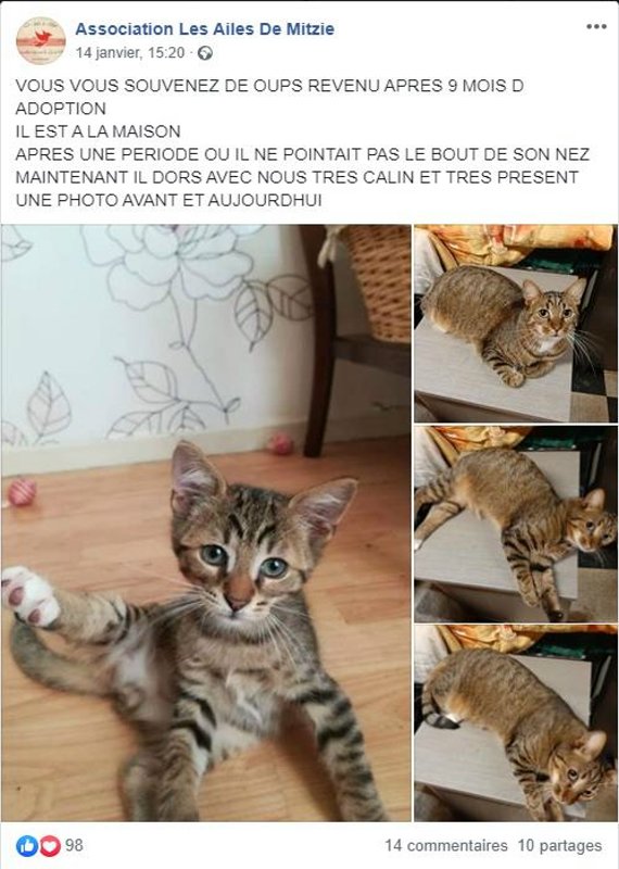 Oups