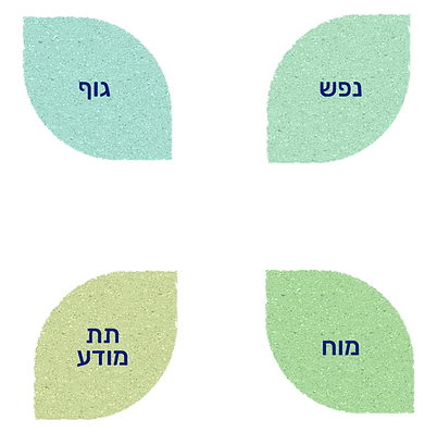 בוטייקו, נשימה תקינה, נשימת יתר, נשימה ריבועית, ENERGY BREATHING, נשימה מעצימה