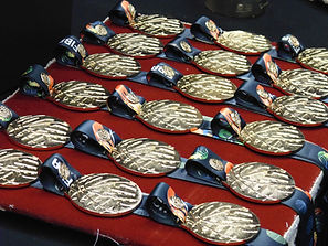 Stacked Gold Medals