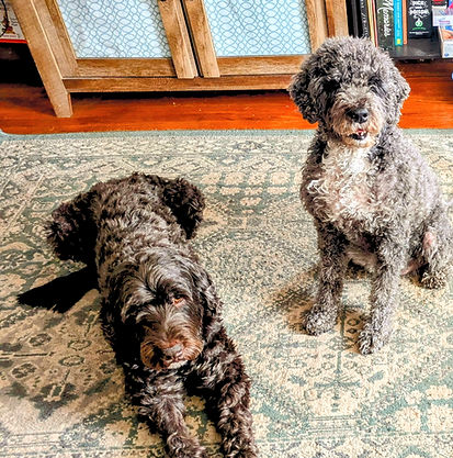 fisher and wazi, boarding clients