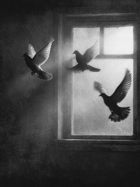 תקיעות ותנועה