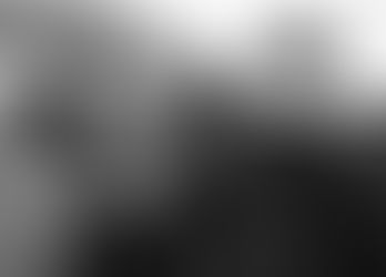 Little American Royal