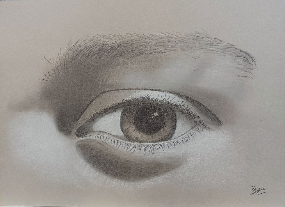 112. Alicia González. Grafito y pastel sobre papel. 21x30cm