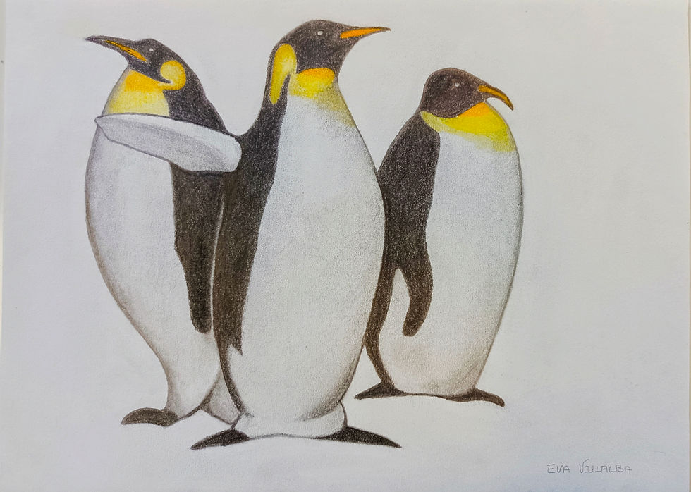 134. Eva Villalba. Técnica mixta sobre papel. 21x30cm