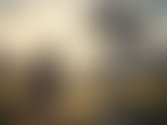 Walk in Your Purpose, Learn from the Spider