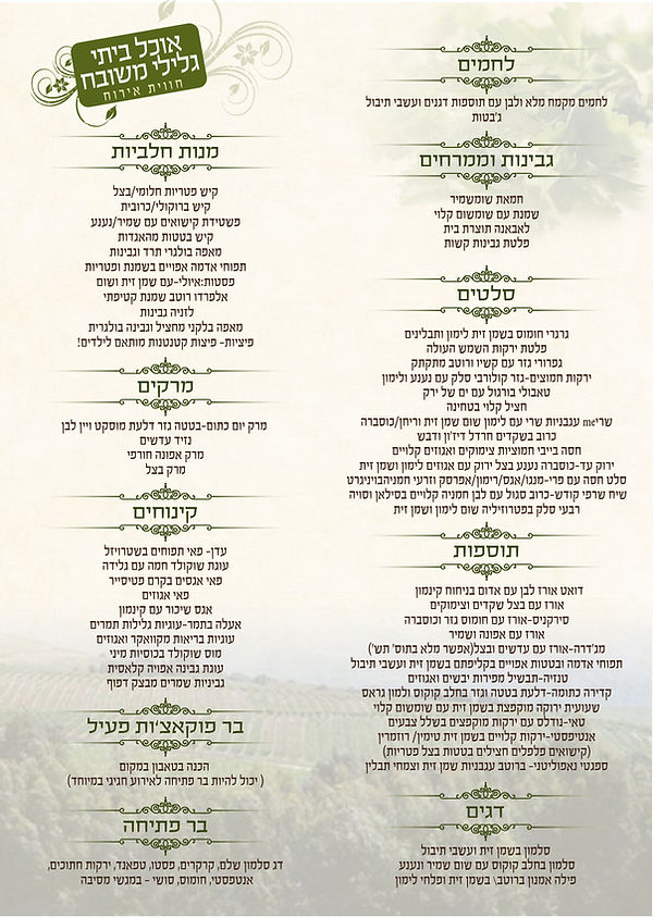 תפריט חלבי אוכל ביתי גלילי.jpg