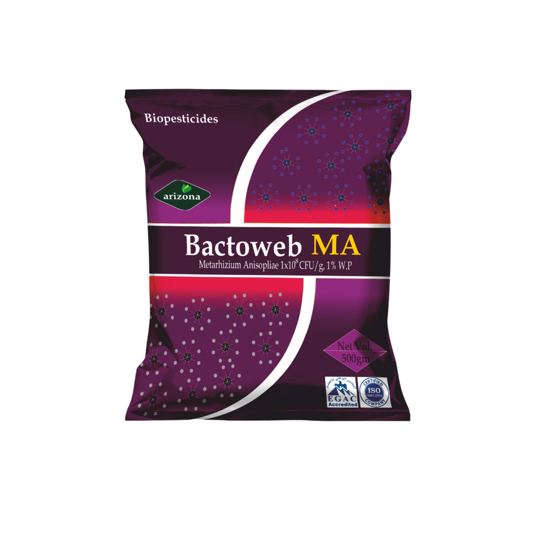 Bactoweb - Metarhizium anisopliae