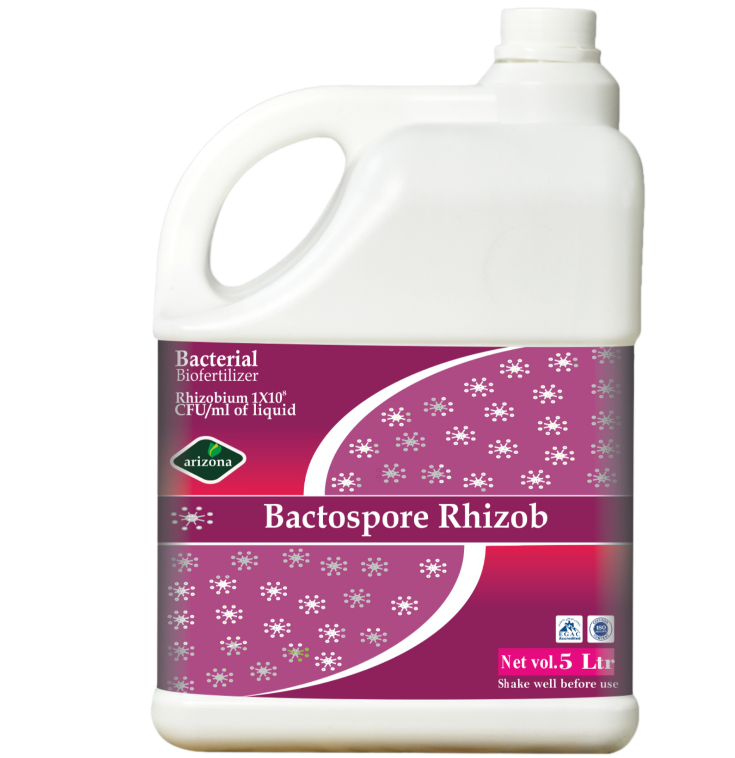Bactospore Rhizob