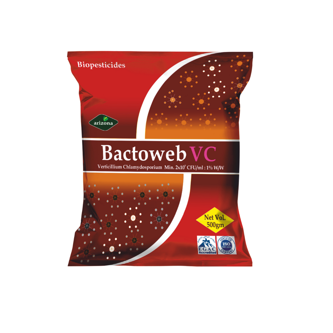Bactoweb - Verticillium chlamydosporium
