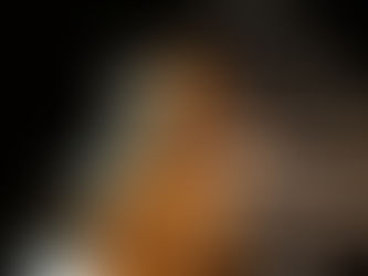 The Voice of Wood: The "Heavy" Secret of High Performance guitars