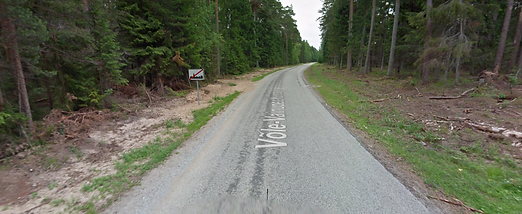 Vainupea laagrikoht