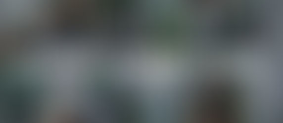 DHT Adjustable Dumbbells Set with Rack, All-Purpose Fitness, Anti-Rolling, for Home, Office