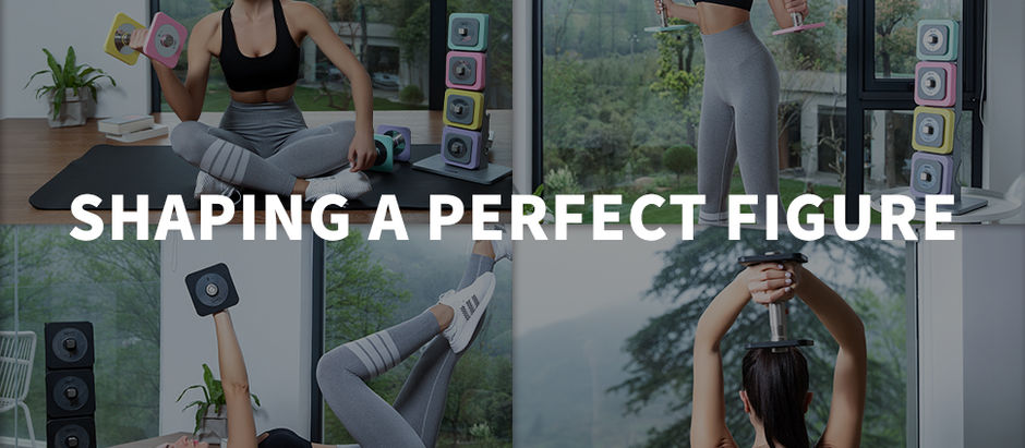 DHT Adjustable Dumbbells Set with Rack, All-Purpose Fitness, Anti-Rolling, for Home, Office