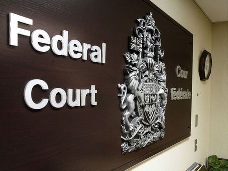 How Do I Appeal An Immigration Refusal Decision to Canada?