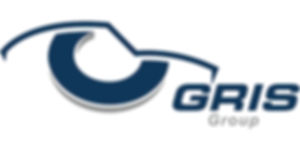 GRIS GROUP.jpeg