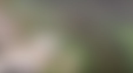 Quelques mesures de prudence pour les secteurs du lac Nairne touchés par la présence de prolifération de cyanobactéries