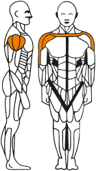 Sem título-1 15.png