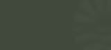 Frame 1.png