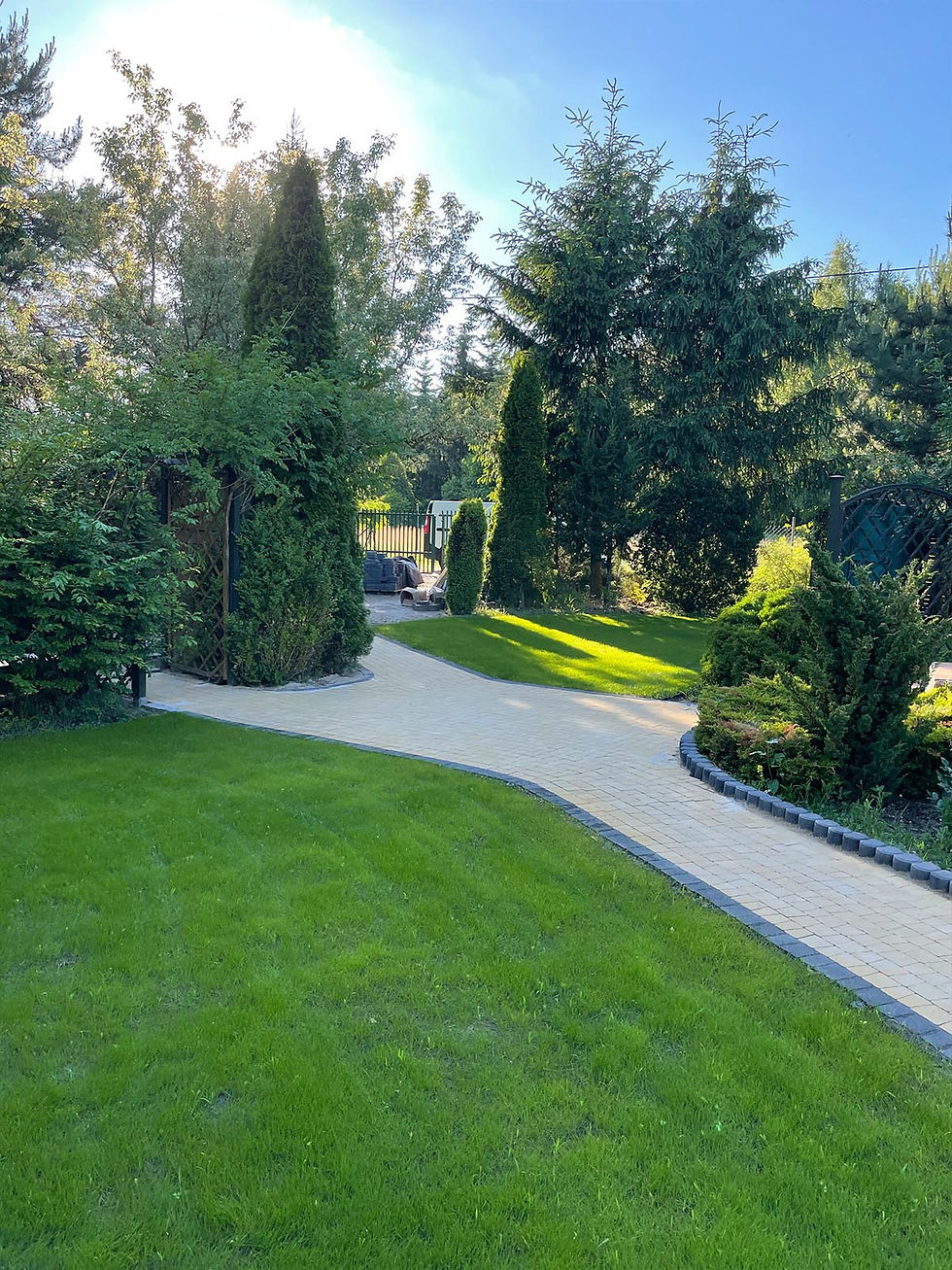 Zakładanie_i_pielęgnacja_trawników_2