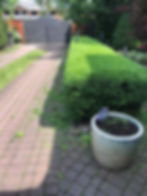 Kompleksowa_pielęgnacja_ogrodu_1