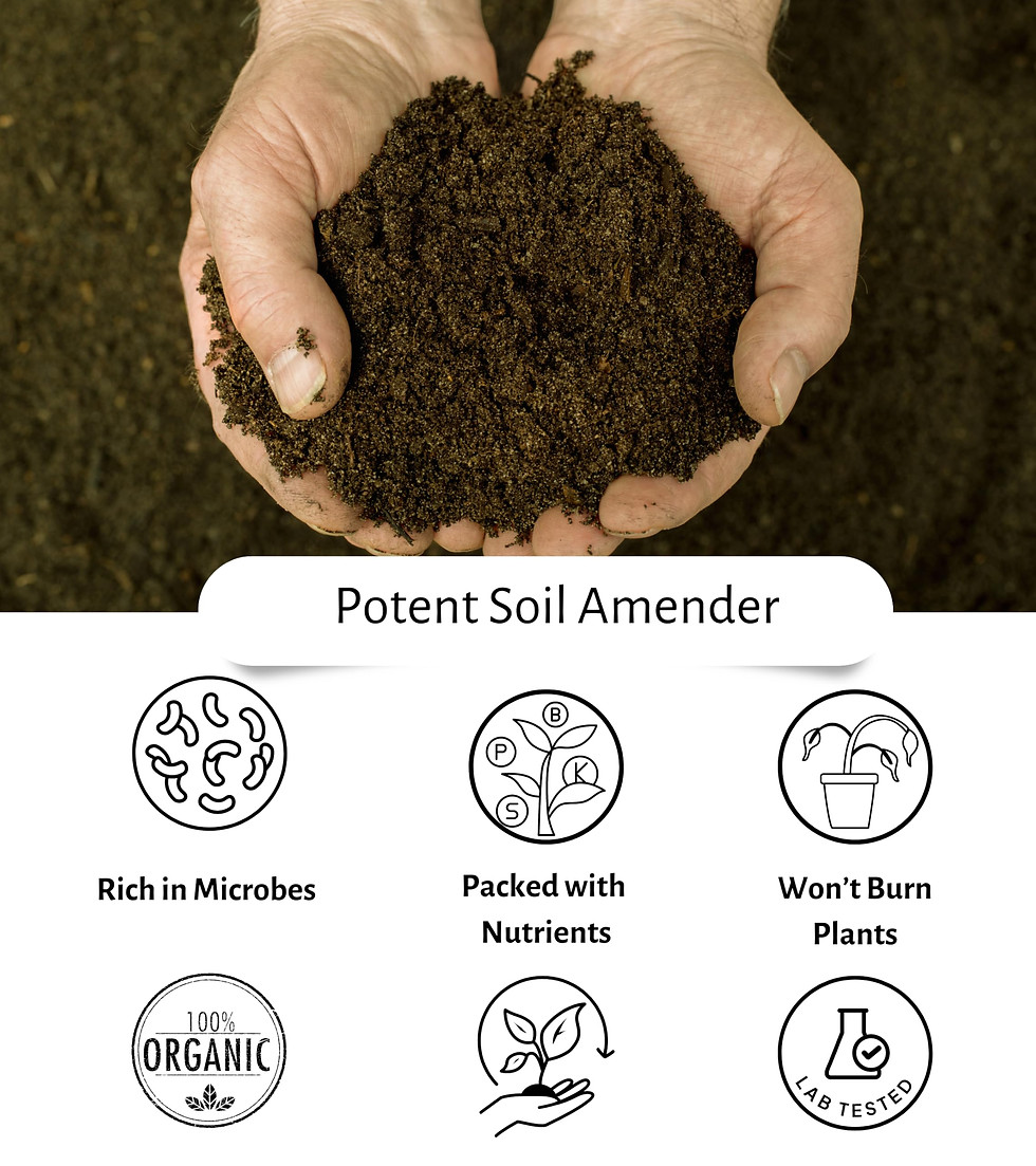 Thumbnail: Worm Castings for Plants, 1 QT (1.5lbs). Organic Soil Rebuilder and Plant Fer...