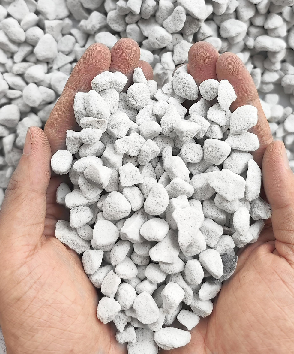 Thumbnail: 10QT Organic Perlite Horticultural Soil Amendment for Plants and Enhanced Dra...