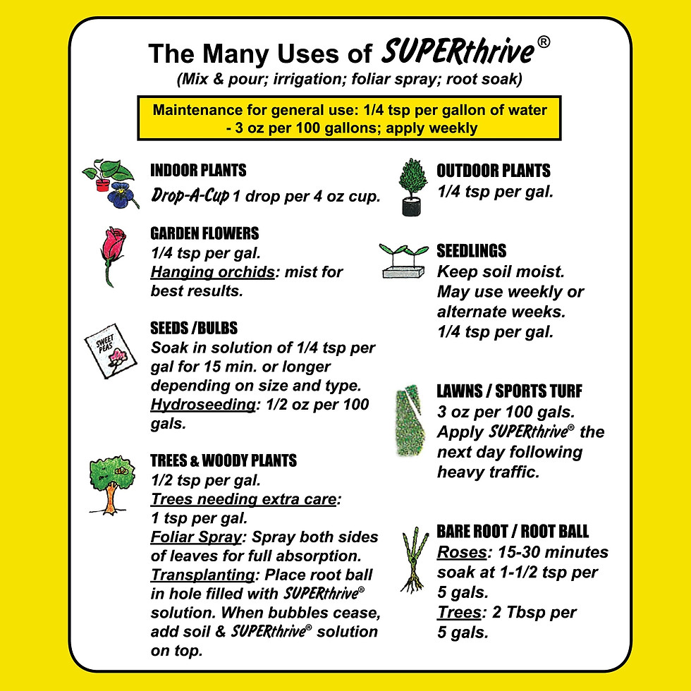 Thumbnail: SUPERthrive The Original Vitamin Solution - Liquid Concentrate, May Add to An...