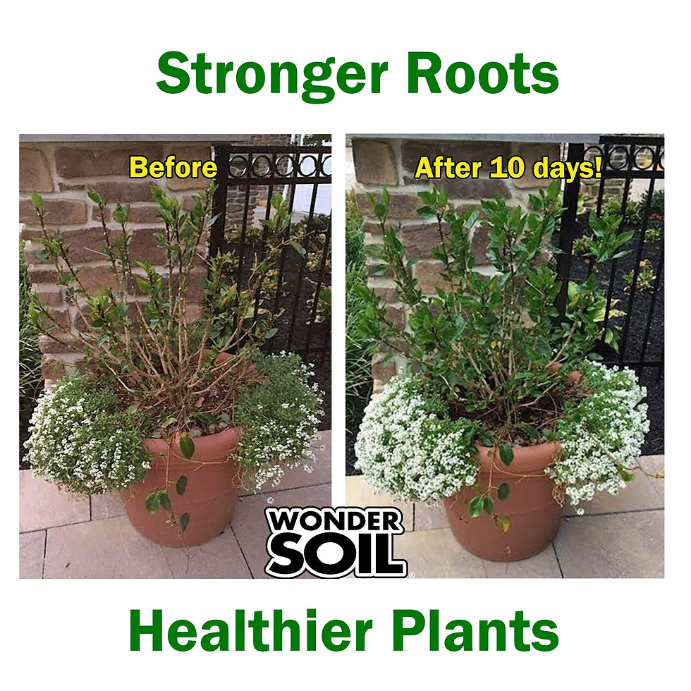 Thumbnail: WONDER SOIL | Organic Coco Coir Brick | The Only Ready to Plant Compressed Co...