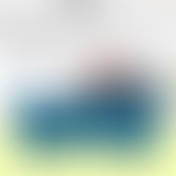 USCIS Chấm Dứt Việc Tự Động Gia Hạn Giấy Phép Làm Việc