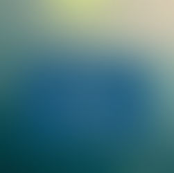 Why Honesty Matters in Immigration Filings