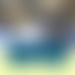 Understanding FOIA Requests