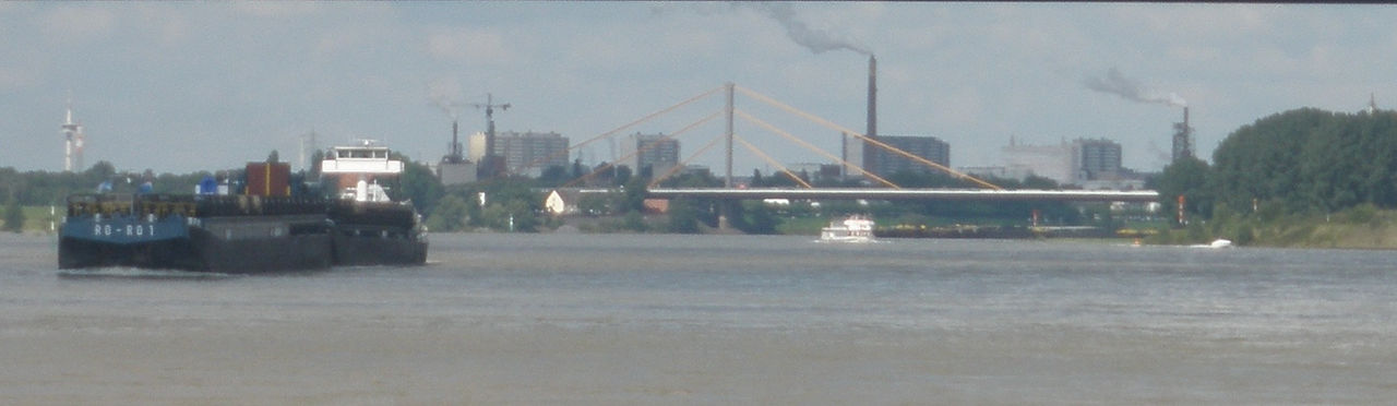 rhine 3