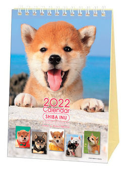 Shiba Inu Desktop Calendar 2022
